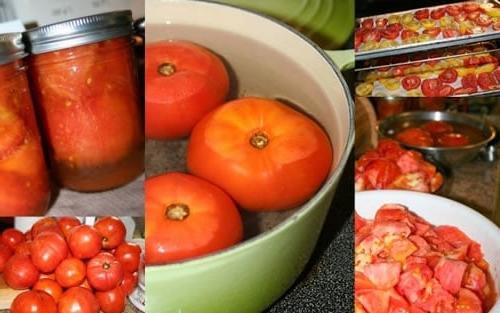 Preservare i pomodori invernali