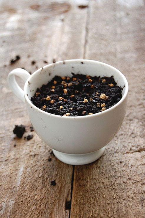 soil and seeds