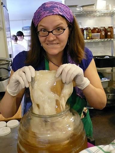 Perché Bere Kombucha?