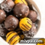 Easy Vegan Gluten Free Pumpkin Truffles 2 A delicious gluten-free, vegan no-bake pumpkin pie truffle recipe card image.