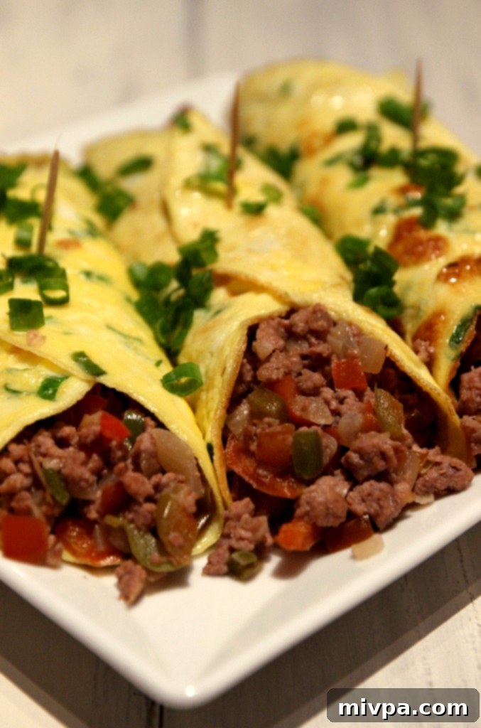 Minced Beef Egg Burritos - Colorful and Nutritious
