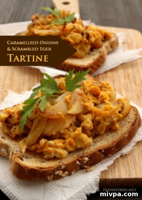 Caramelized Onions & Scrambled Eggs Tartine