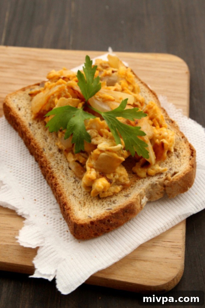 Caramelized Onions & Scrambled Eggs Tartine2