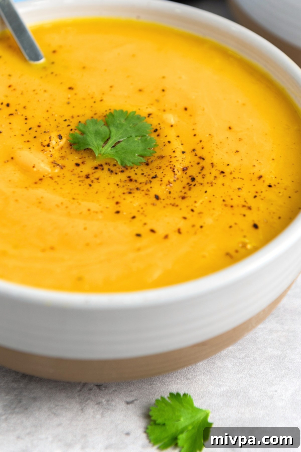 Savory Butternut Squash Soup (Gluten-Free, Vegan) Up close shot of a bowl of butternut squash soup topped with parsley.