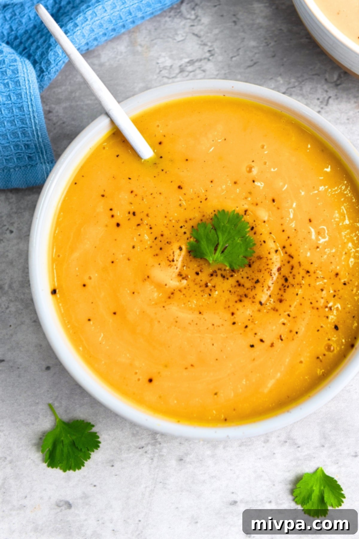 Savory Butternut Squash Soup (Gluten-Free, Vegan) Top down view of a bowl of butternut soup.