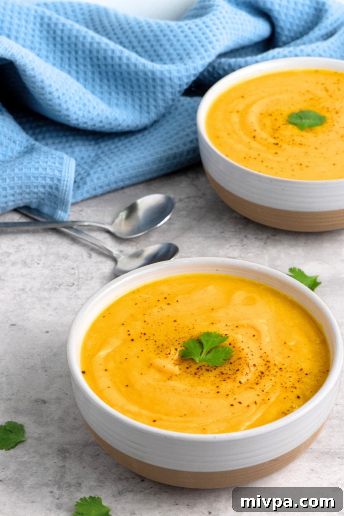 Creamy Butternut Squash Soup (Gluten-Free, Vegan) Two bowls of creamy butternut squash soup on concrete board.