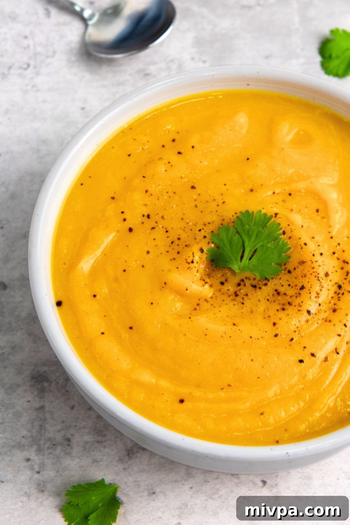 Savory Butternut Soup (Gluten-Free, Vegan) Up close shot of savory butternut soup.