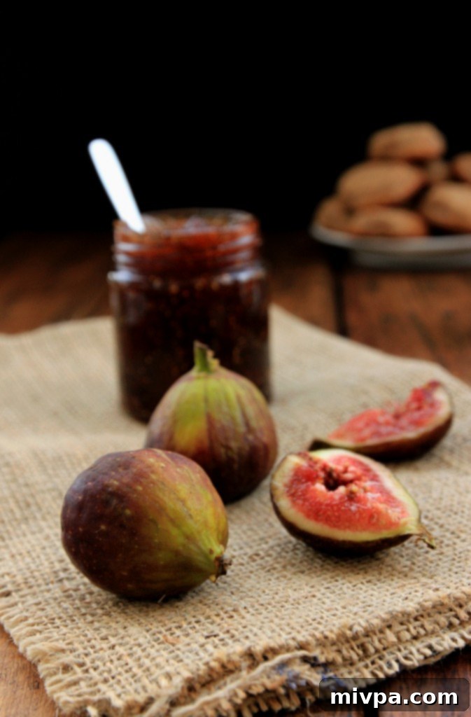 Homemade Fig Jam