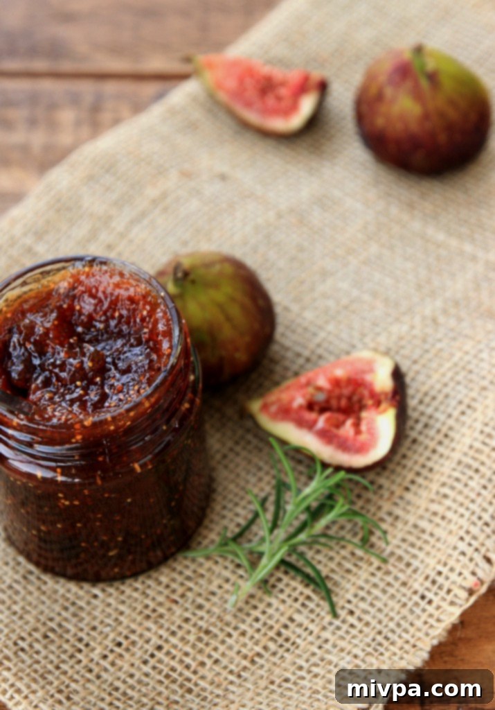 Homemade Fig Jam