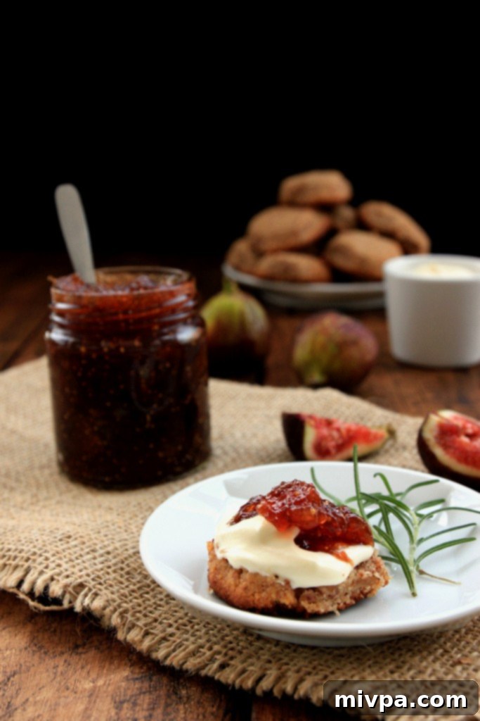 Homemade Fig Jam
