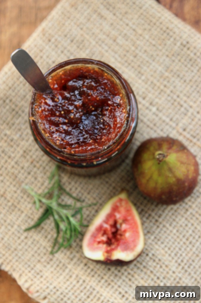 Homemade Fig Jam