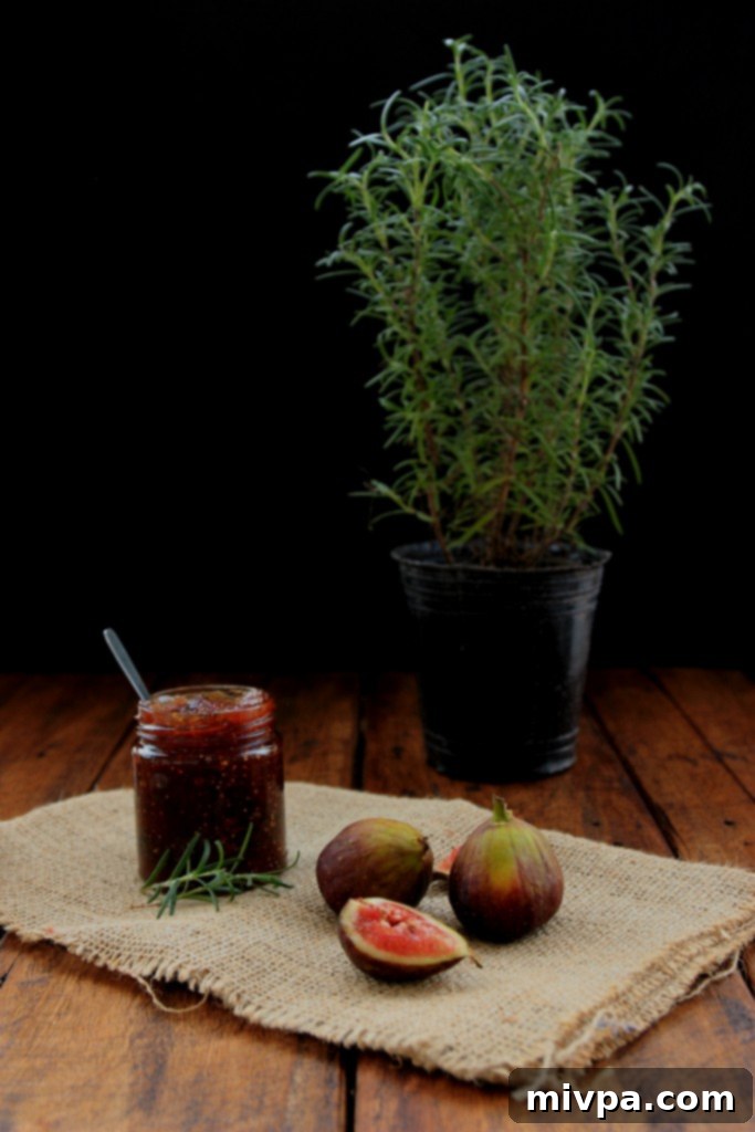 Homemade Fig Jam