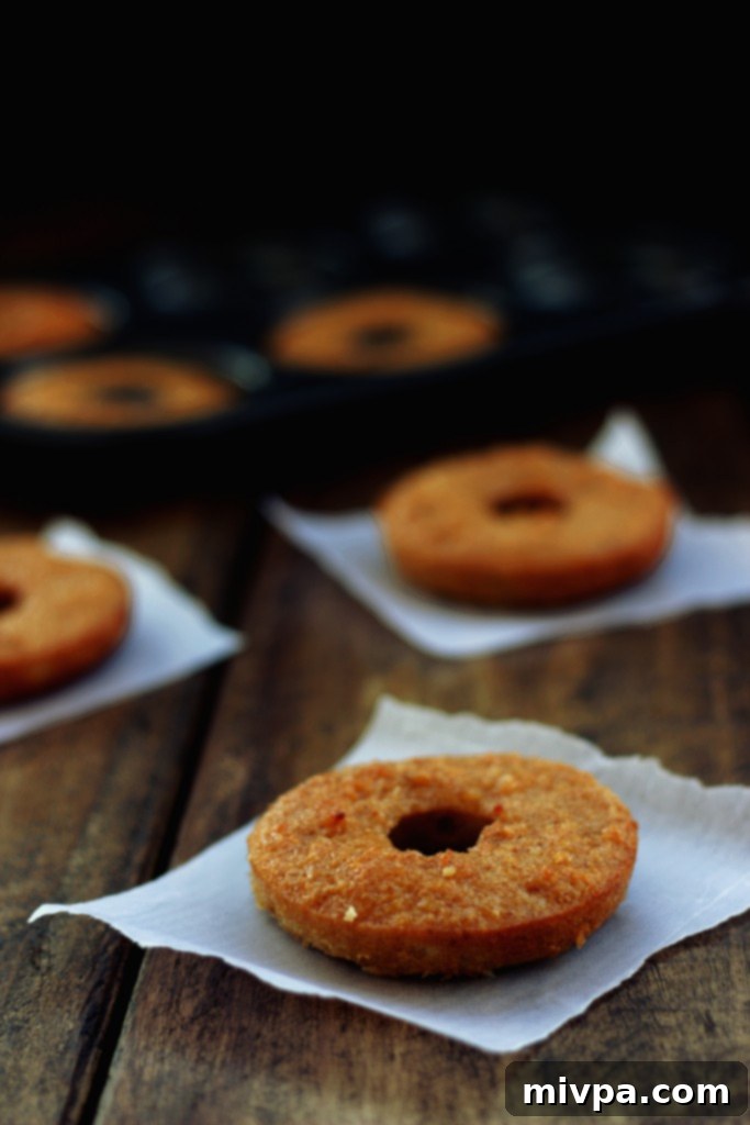 Close-up of a fresh Grain-free Apple Cider Vinegar Doughnut on a plate