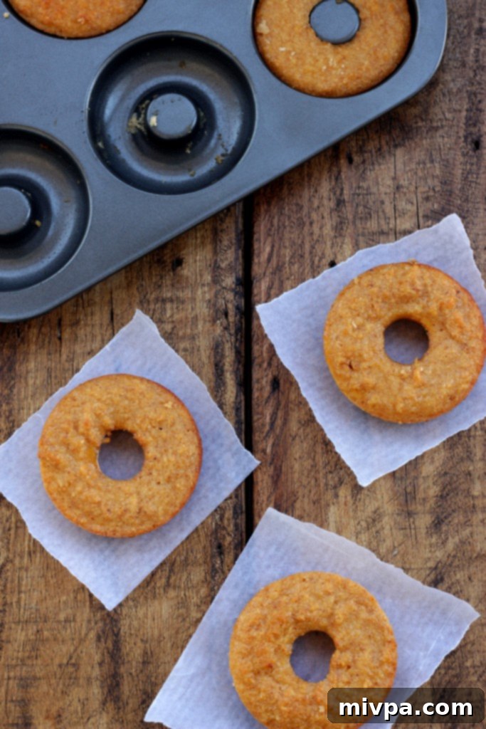 Close-up of the delightful texture of Grain-free Apple Cider Vinegar Doughnuts