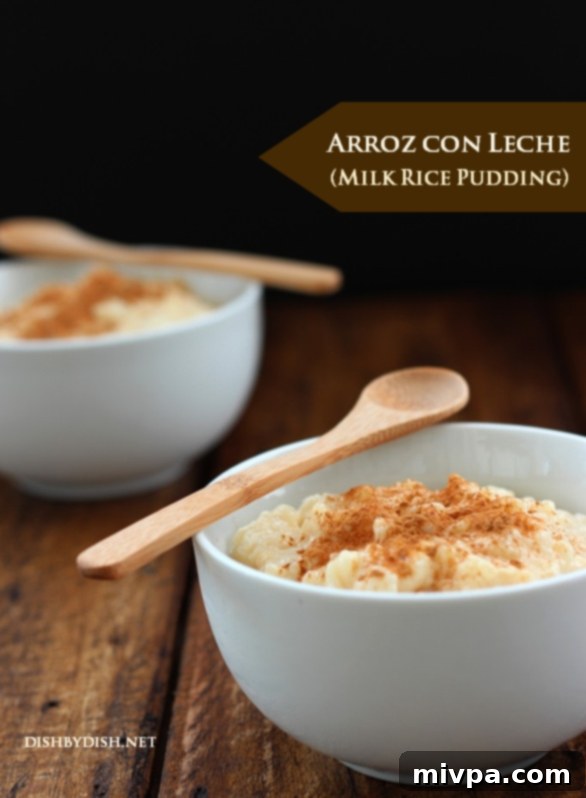 Arroz con Leche (Milk Rice Pudding) in a serving bowl