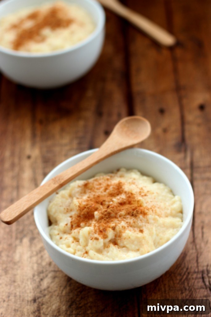 Arroz con Leche (Milk Rice Pudding) garnished with cinnamon