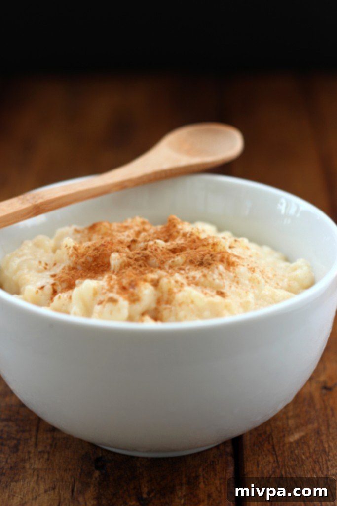 Close-up of Arroz con Leche (Milk Rice Pudding) in a bowl