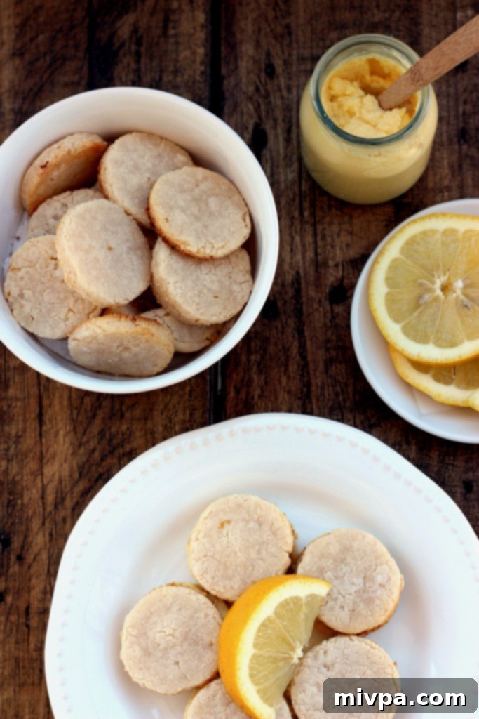 Grain-free Lemon Sandwich Cookies – A close-up of a finished lemon sandwich cookie with a generous amount of curd.