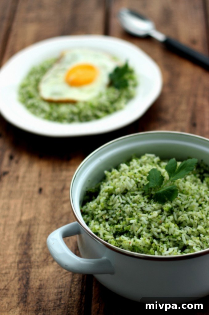Fresh ingredients for Easy Broccoli Garlic Rice, including bright green broccoli florets, garlic cloves, and a bowl of cooked white rice