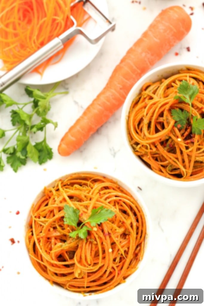 Close-up of Fresh Chimichurri Sauce with Carrot Noodles