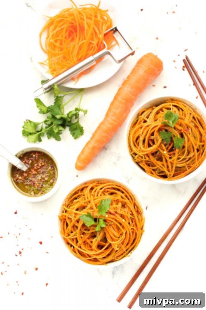 Ready-to-Eat Carrot Noodles with Chimichurri and Garnish