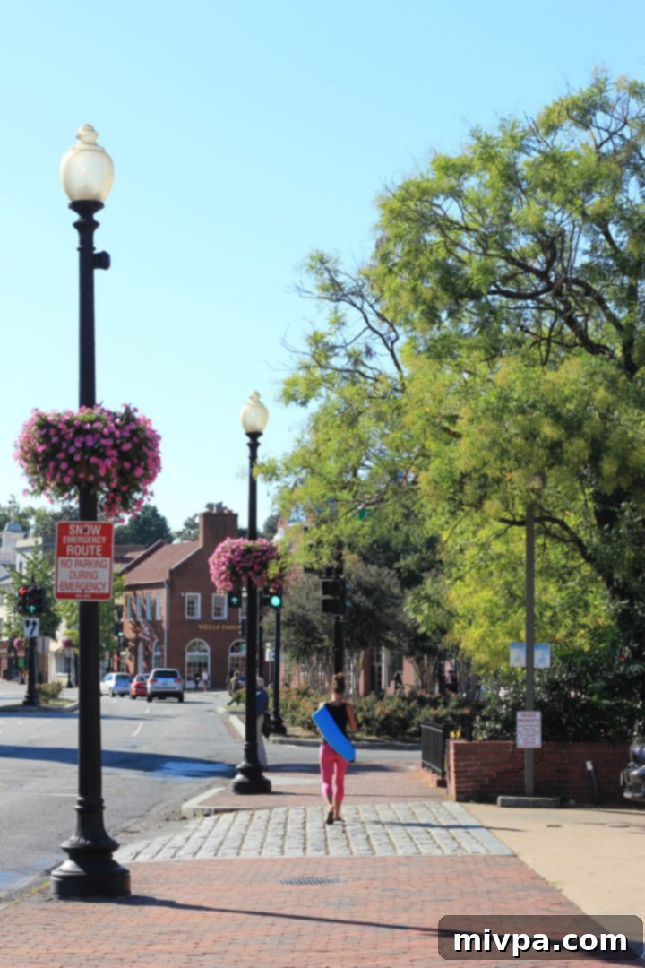 Historic architecture and quaint streets in Georgetown