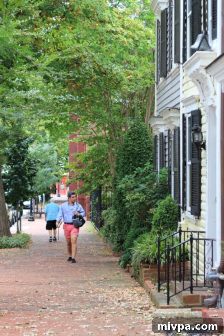 Charming residential street in Georgetown with row houses