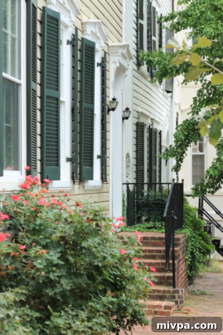 Historic row houses with tree-lined streets in Georgetown