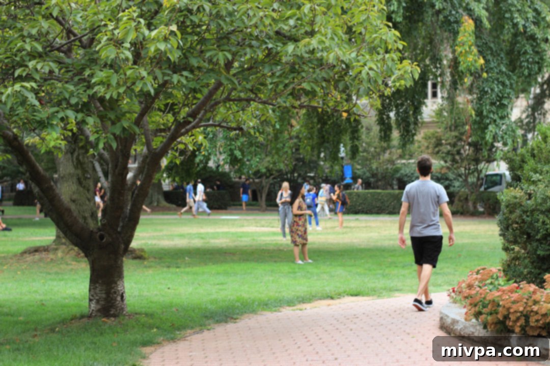 Students relaxing on Georgetown University campus