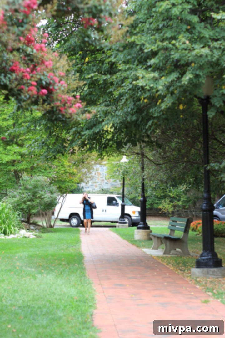 Tree-lined path on Georgetown University campus