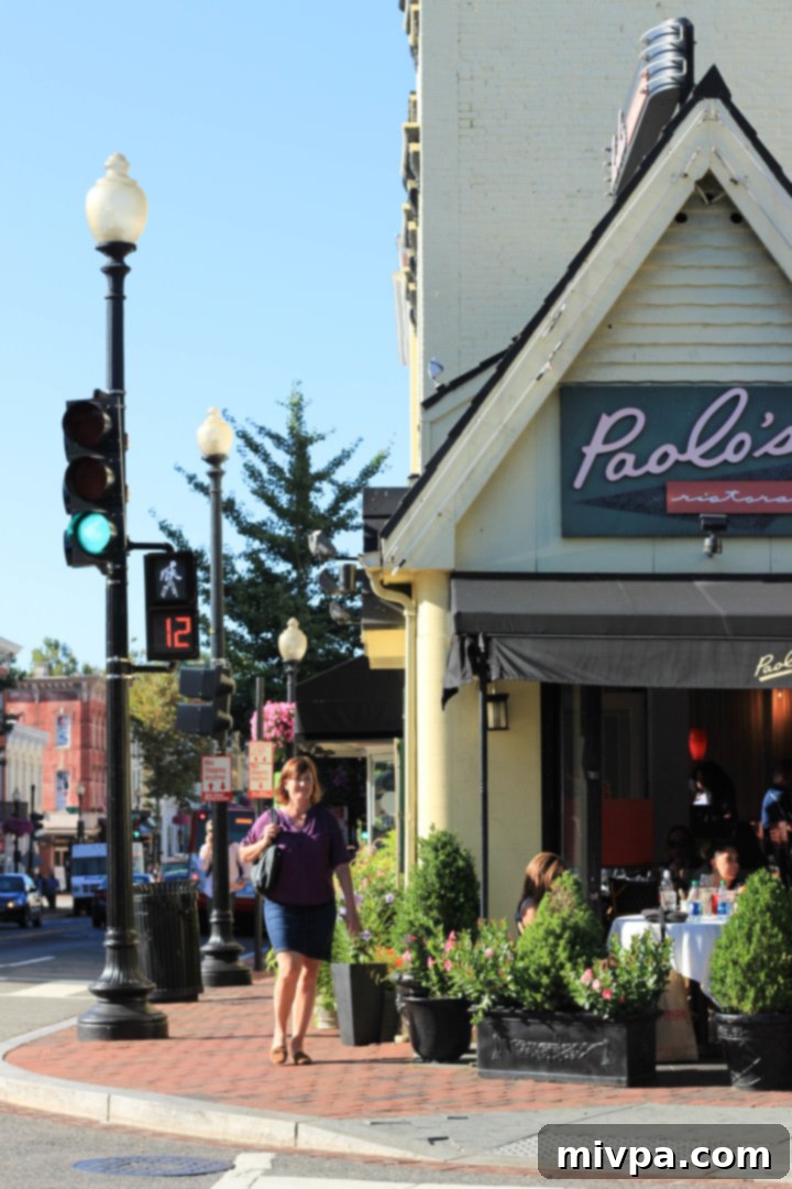 Overview of Georgetown's charming streets and architecture