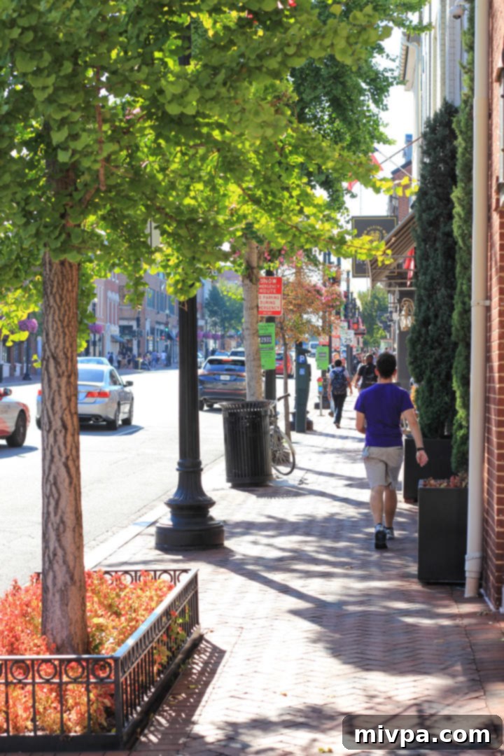 Charming bookstore with books displayed on the sidewalk in Georgetown