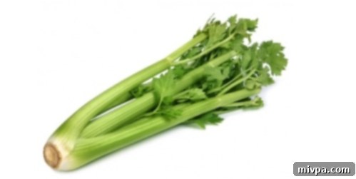 Celery: Your Everyday Weight Loss Superfood 2 Celery
