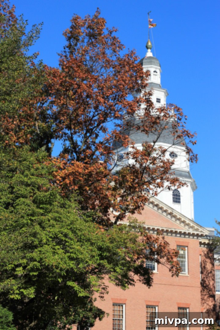 Annapolis Autumn
