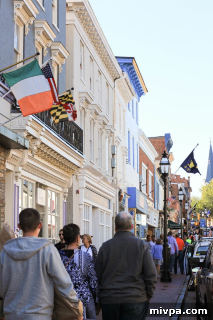 Annapolis Architecture