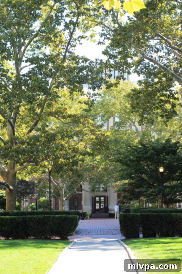 A vibrant New York City Street View near campus