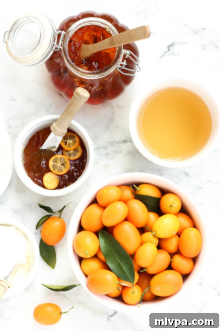 Easy Kumquat Marmalade Recipe (Gluten-Free, Vegan, Pectin-Free) Homemade kumquat marmalade and fresh kumquat fruits on marble board. A jar of golden kumquat marmalade sits next to a pile of vibrant, small kumquat fruits, emphasizing freshness and homemade quality.