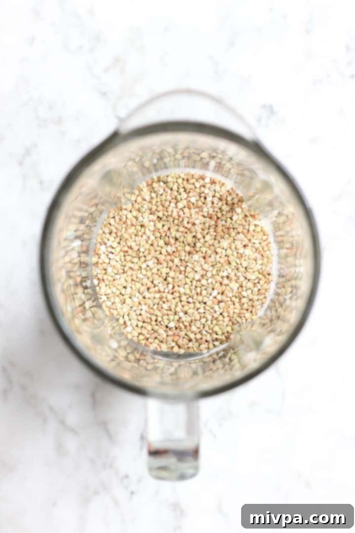 Easy Buckwheat Cookies (Gluten-Free, Dairy-Free) Buckwheat groats in a blender ready to be ground into flour.