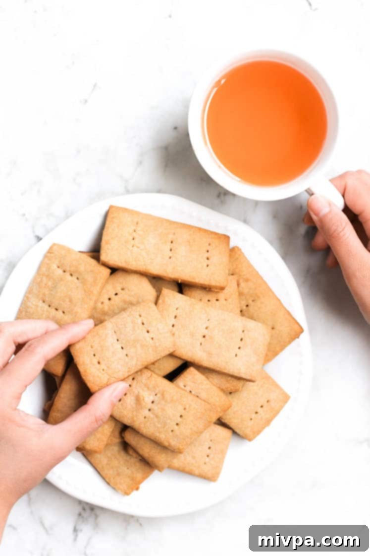 Sorghum Graham Crackers (Gluten-free, Vegan)