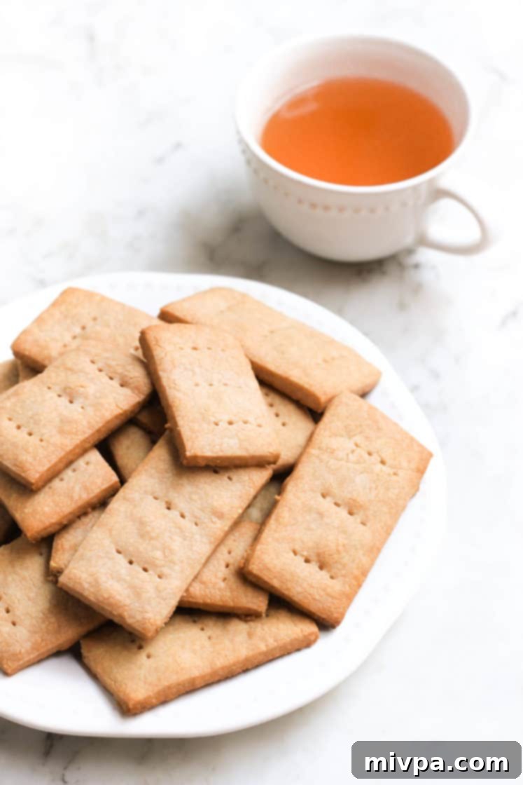 Sorghum Graham Crackers (Gluten-free, Vegan)