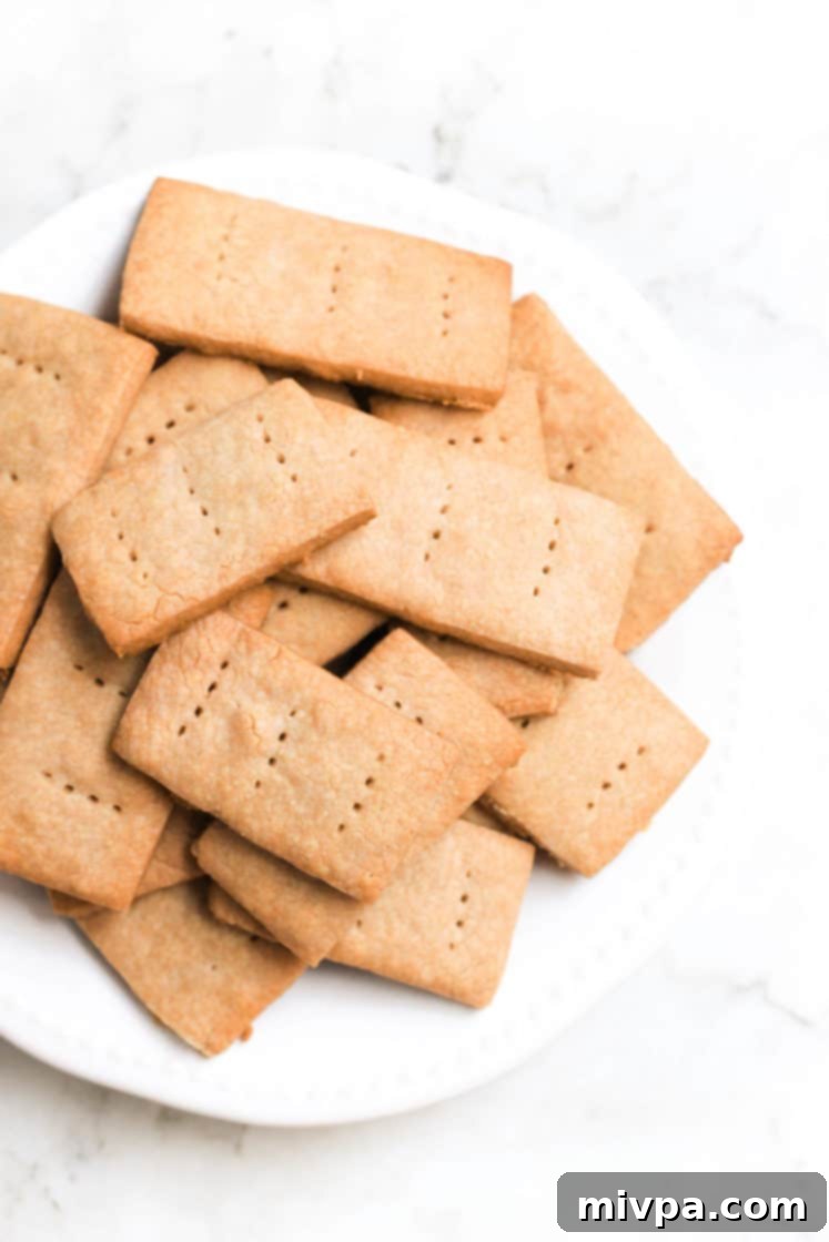 Sorghum Graham Crackers (Gluten-free, Vegan)