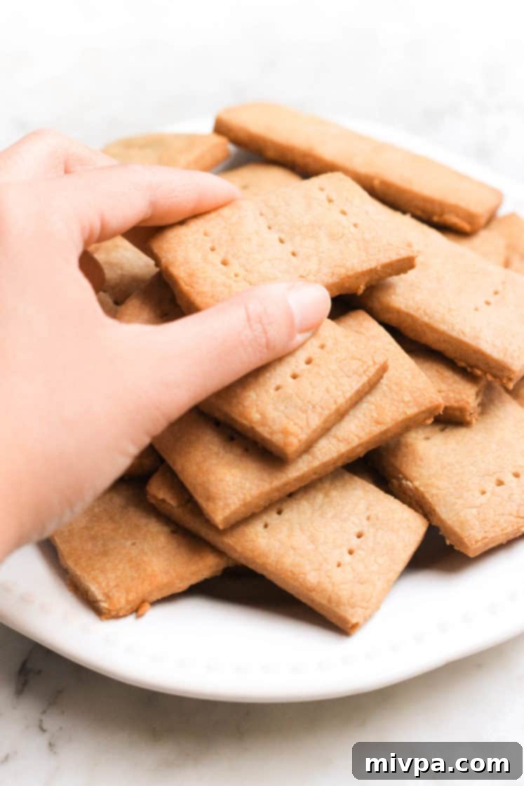 Sorghum Graham Crackers (Gluten-free, Vegan)