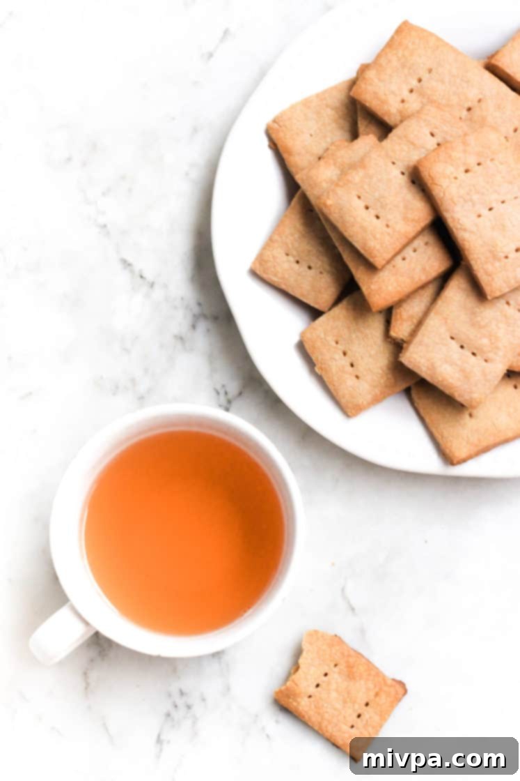 Sorghum Graham Crackers (Gluten-free, Vegan)