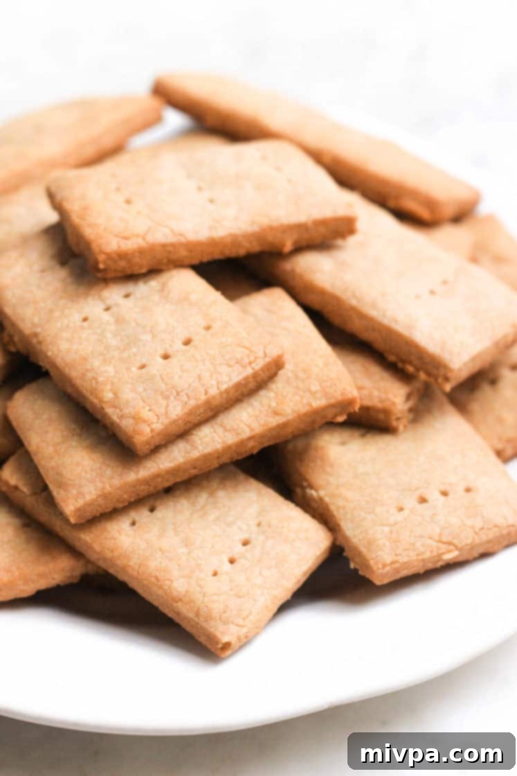 Sorghum Graham Crackers (Gluten-free, Vegan)