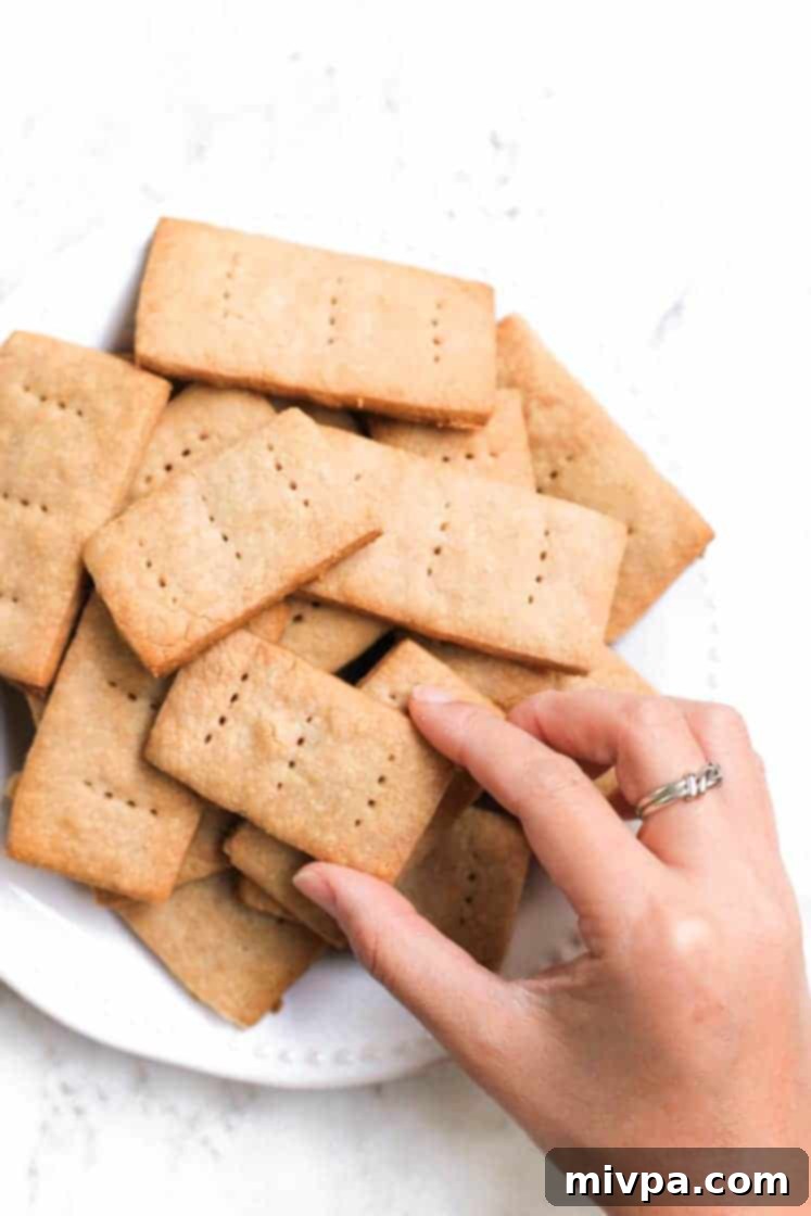 Sorghum Graham Crackers (Gluten-free, Vegan)