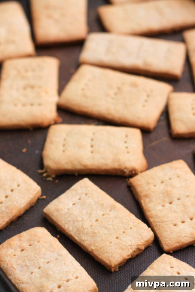 Sorghum Graham Crackers (Gluten-free, Vegan)