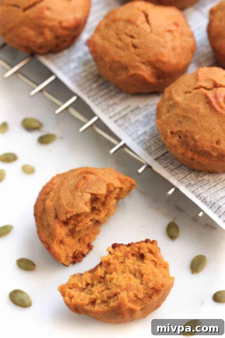 Half-eaten gluten-free pumpkin muffin surrounded by pumpkin seeds, highlighting its moist texture.