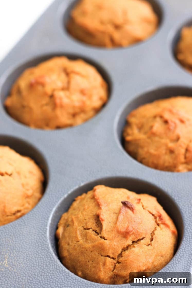 Close-up shot of freshly baked, golden-brown pumpkin muffins still in the silicon muffin mold, just out of the oven.