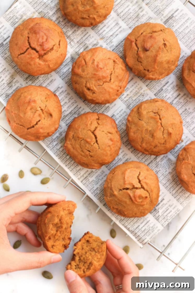 Freshly baked vegan gluten-free pumpkin muffins cooling on a wire rack, with hands gently pulling one apart to reveal its soft texture.