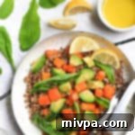 Warm Quinoa with Roasted Butternut Squash, Creamy Avocado and Fresh Arugula 13 Warm Quinoa Salad with Butternut Squash, Avocado and Arugula (Gluten-free, Vegan)